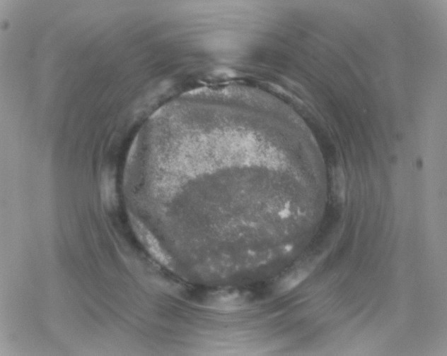 X0000078310267200611251541