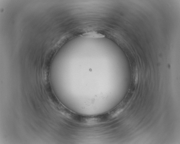 X0000078310268200611251541