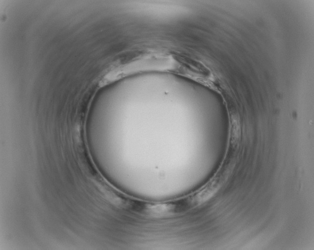 X0000078310269200611251541