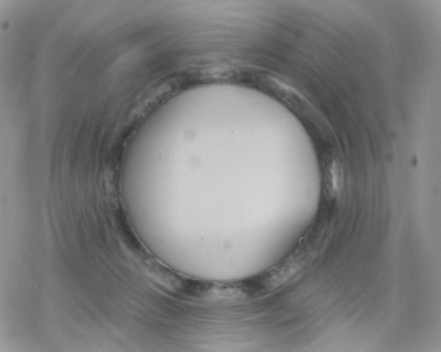 X0000078310270200611251541