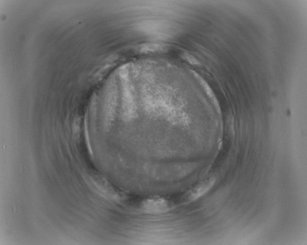 X0000078310271200611251541