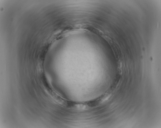 X0000078310272200611251541