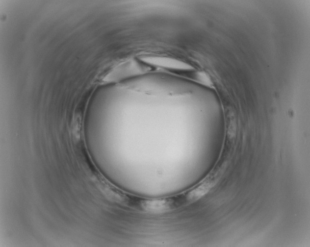 X0000078310273200611251541