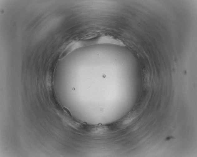 X0000078310274200611251541