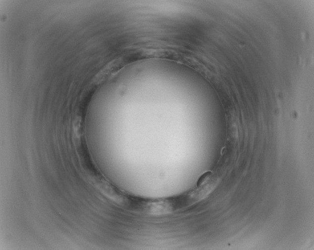 X0000078310275200611251541