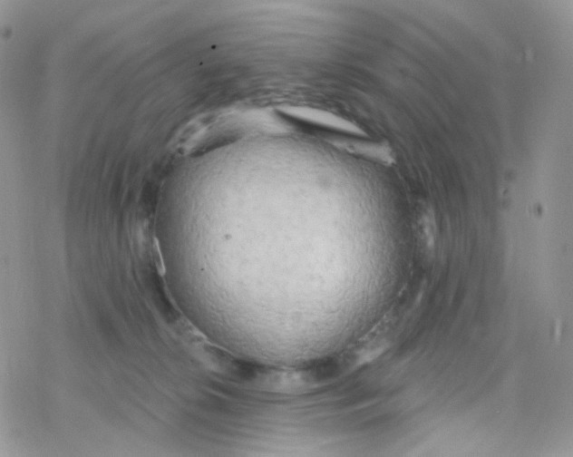 X0000078310276200611251541