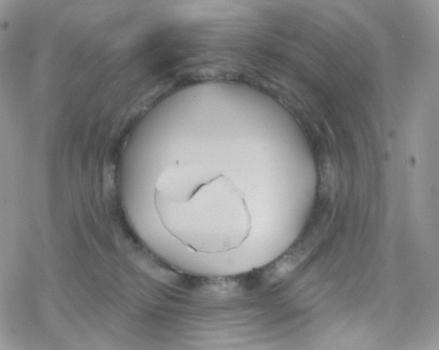 X0000078310278200611251541