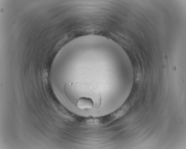 X0000078310279200611251541