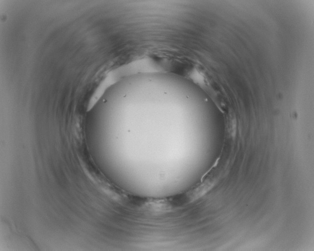 X0000078310280200611251541