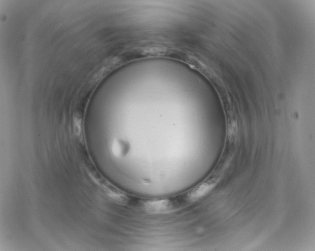 X0000078310281200611251541