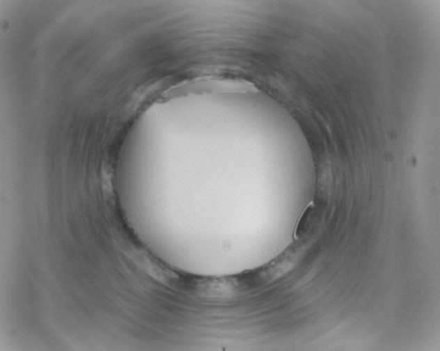 X0000078310282200611251541