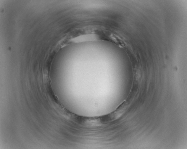 X0000078310283200611251541