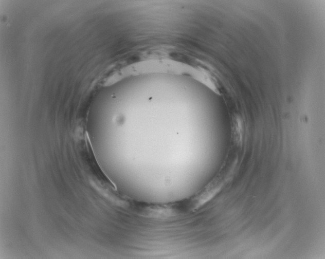 X0000078310284200611251541