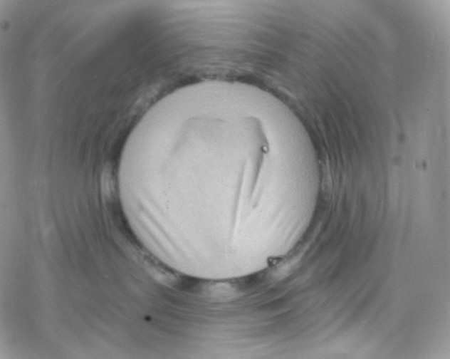 X0000078310287200611251541