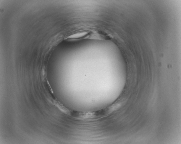 X0000078310288200611251541