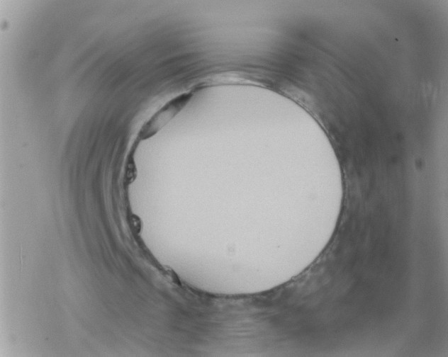 X0000078310289200611251540