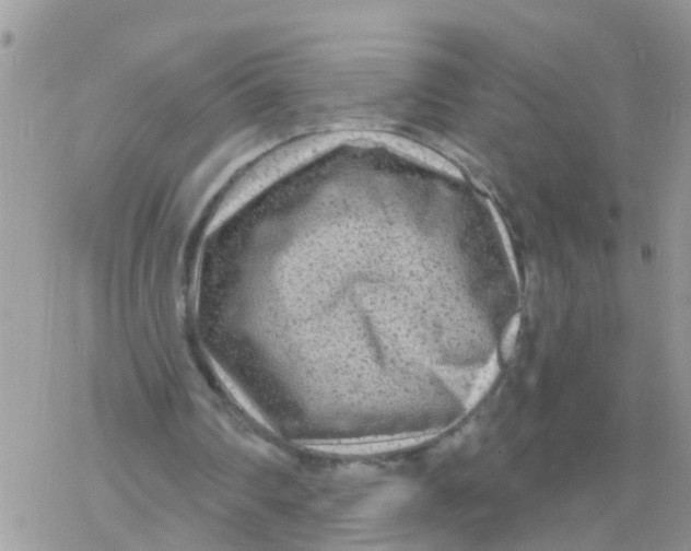 X0000078310290200611251540