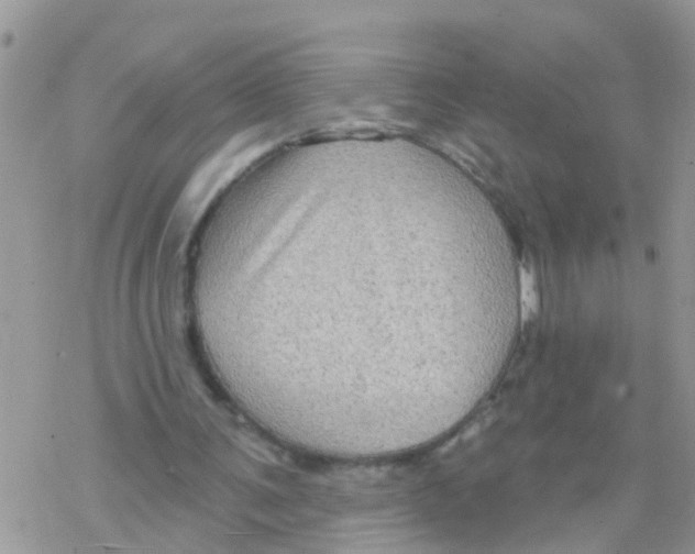 X0000078310291200611251540