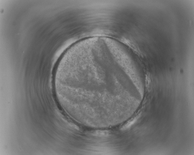 X0000078310292200611251540