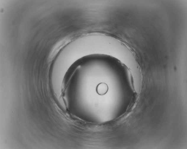 X0000078310293200611251540