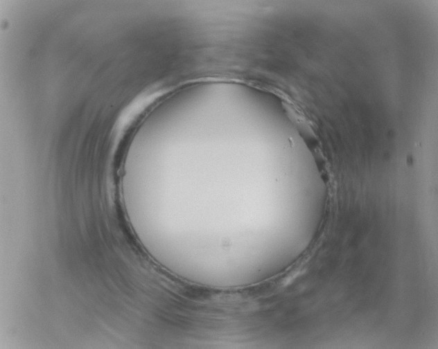 X0000078310294200611251540