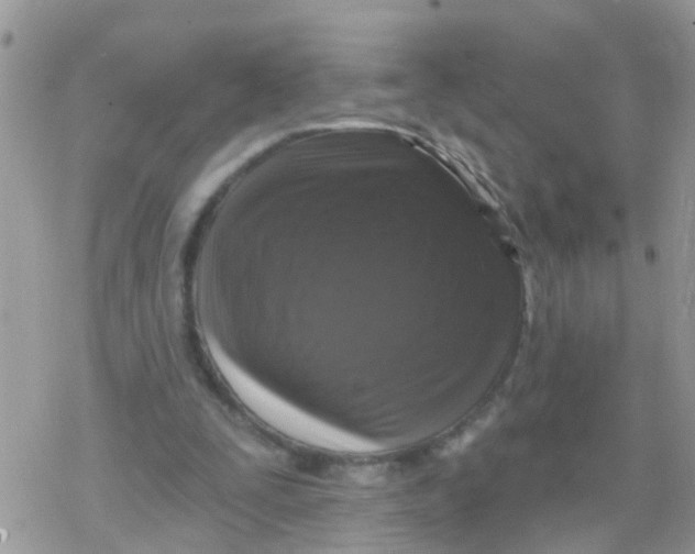 X0000078310295200611251540