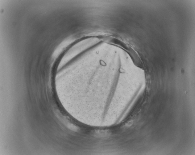 X0000078310296200611251540