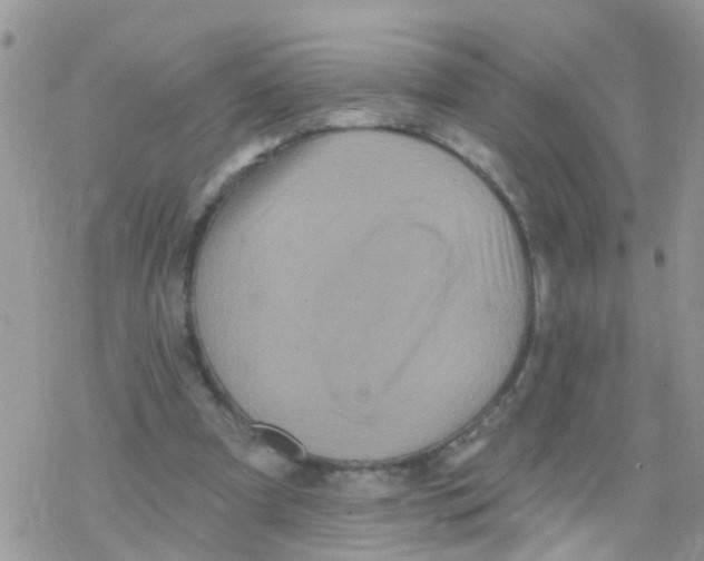 X0000078310297200611251540