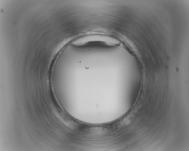 X0000078310298200611251540