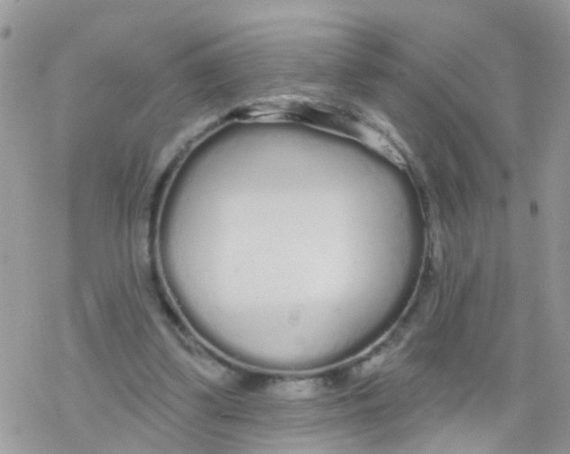 X0000078310299200611251540