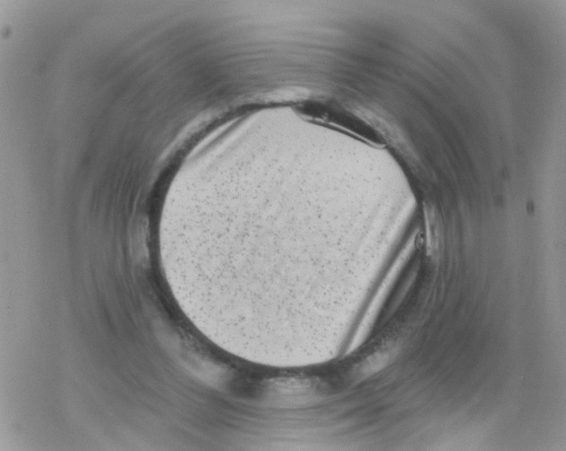 X0000078310300200611251540