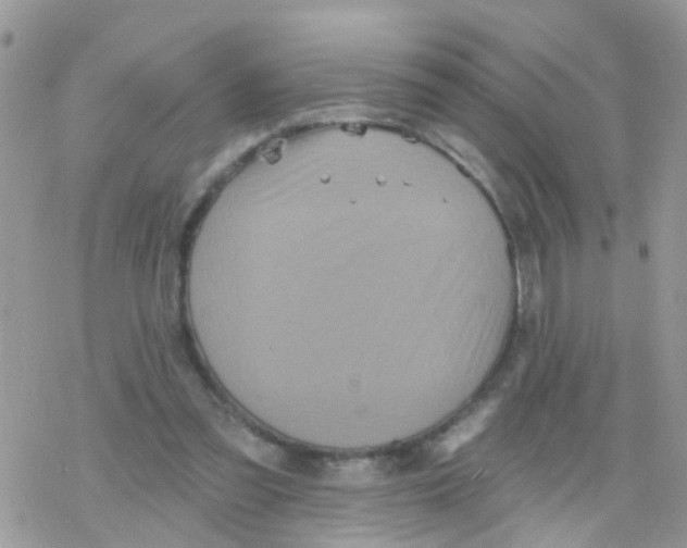 X0000078310301200611251540