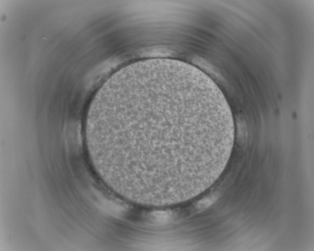 X0000078310302200611251540