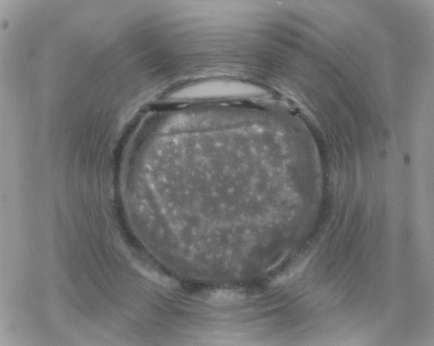 X0000078310303200611251540