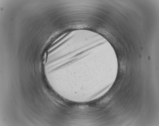 X0000078310304200611251540