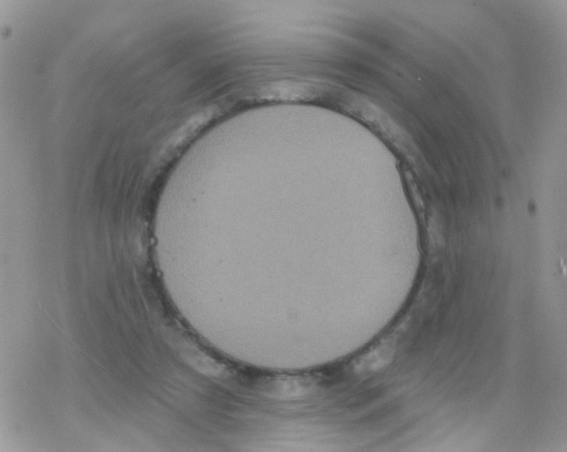 X0000078310305200611251540