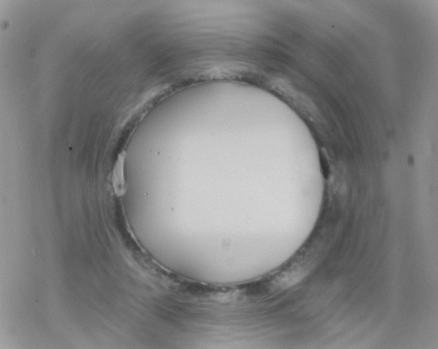 X0000078310306200611251540