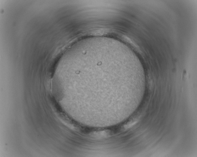 X0000078310307200611251540