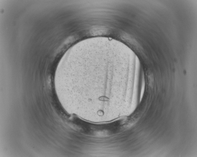 X0000078310308200611251540