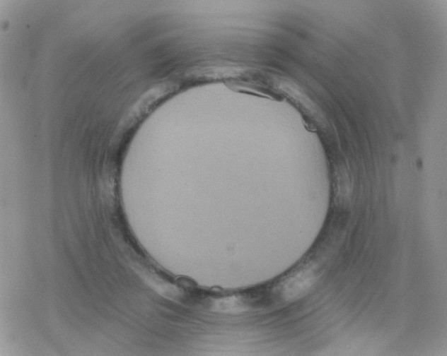 X0000078310309200611251540