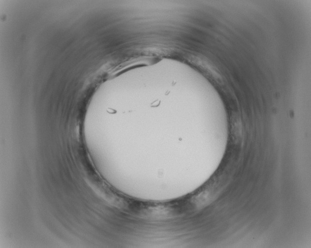 X0000078310310200611251540