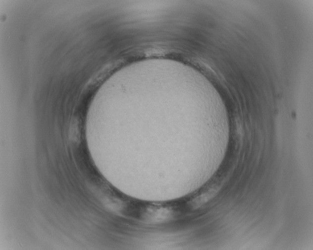 X0000078310311200611251540