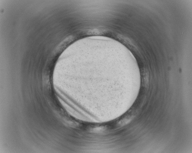 X0000078310312200611251540