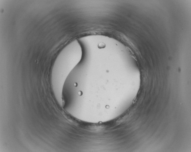 X0000078310313200611251540