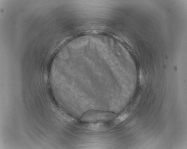 X0000078310314200611251540