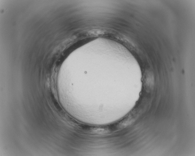 X0000078310315200611251540