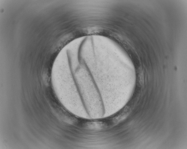 X0000078310316200611251540