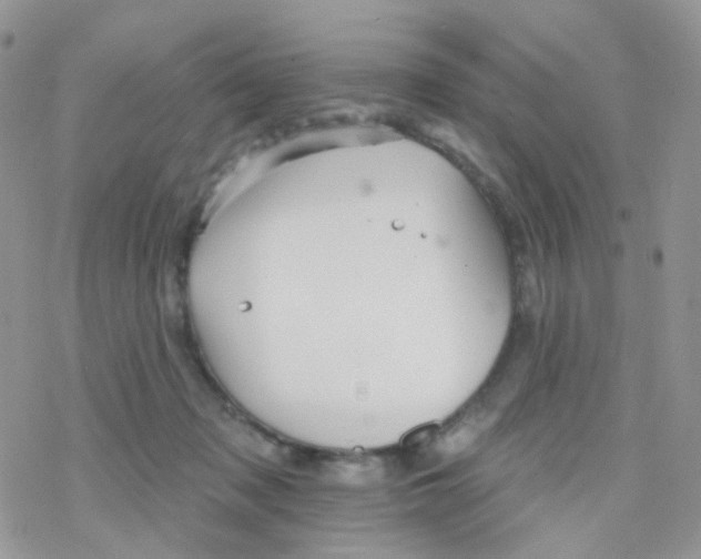 X0000078310317200611251540