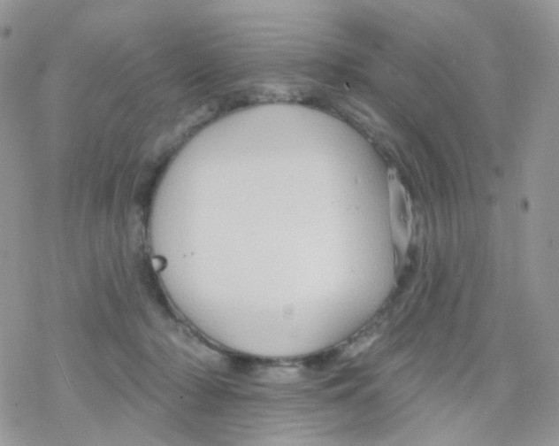 X0000078310318200611251540