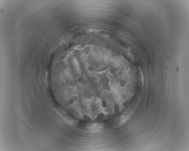 X0000078310319200611251540